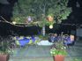 DSC00004.jpg