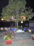 DSC00006.jpg